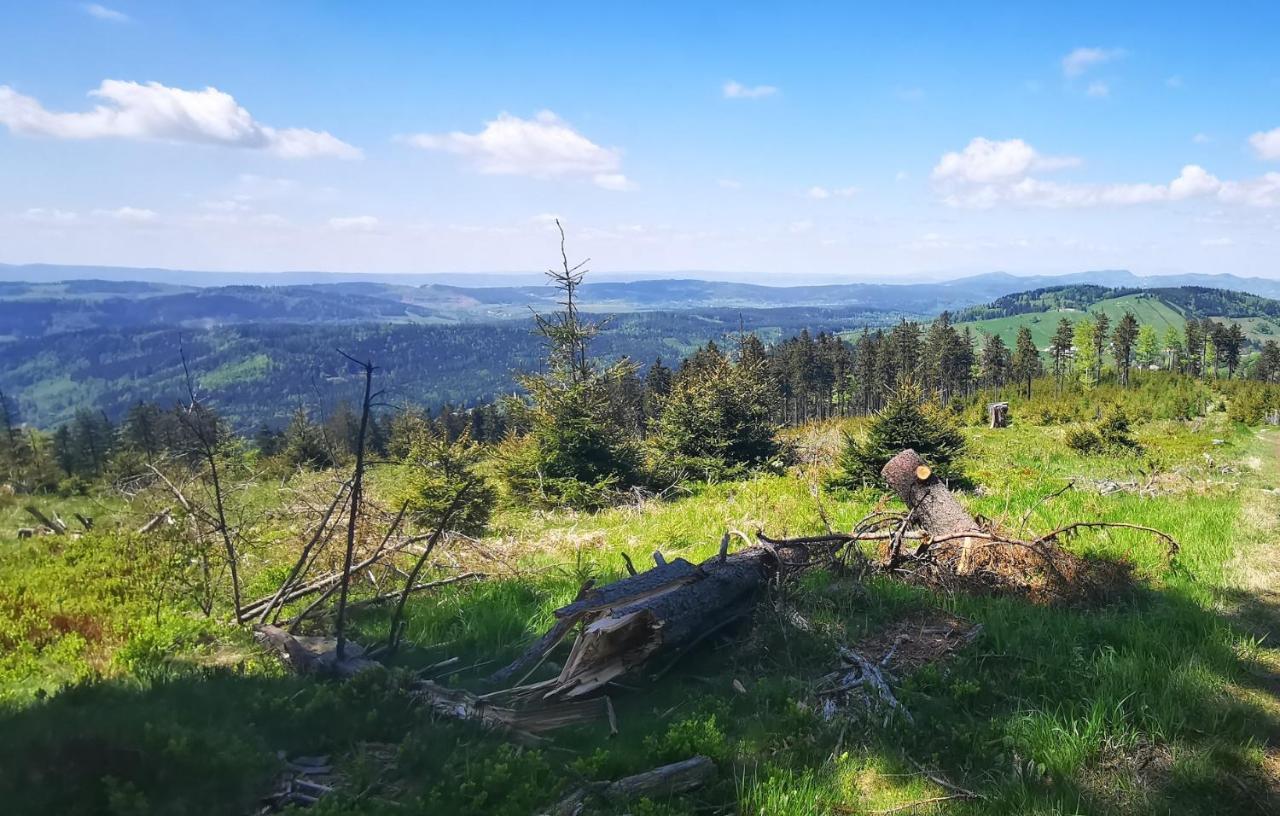 Sloneczny Apartament Blisko Jeziora I Gor Bielawa  Esterno foto
