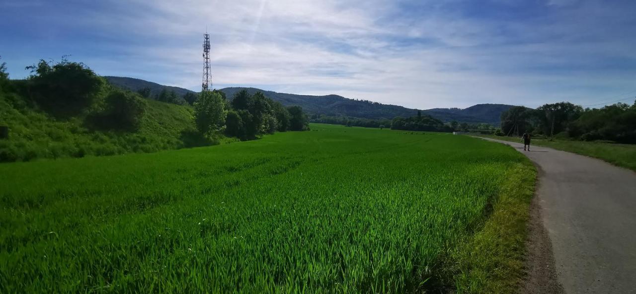 Sloneczny Apartament Blisko Jeziora I Gor Bielawa  Esterno foto