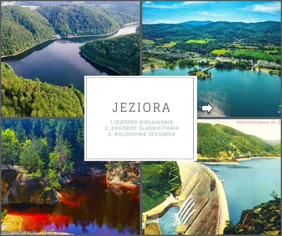Sloneczny Apartament Blisko Jeziora I Gor Bielawa  Esterno foto
